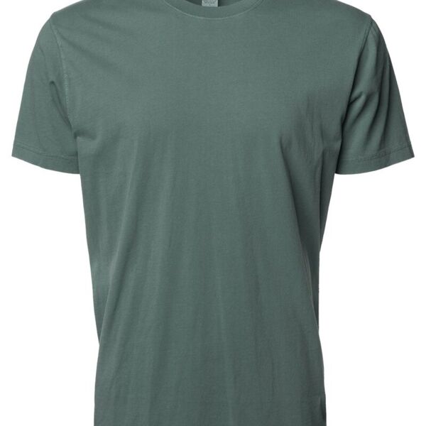 Unisex Premium T-Shirt Thumbnail